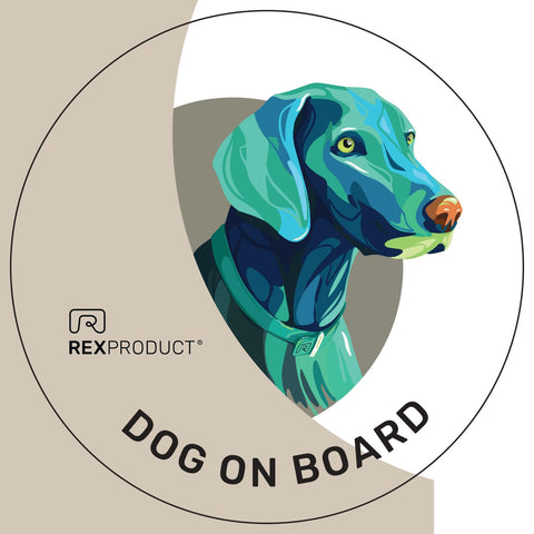 Autocollant "Dog on board" pour voiture
