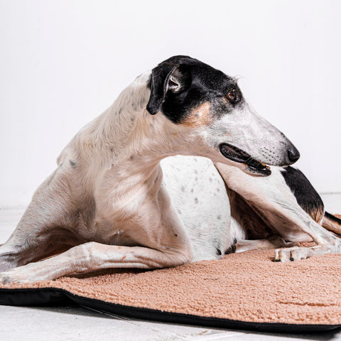 Tapis de voyage "Mia Teddy" beige