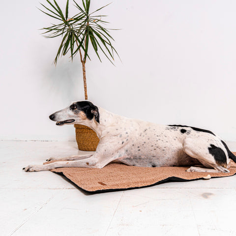 Tapis de voyage "Mia Teddy" beige