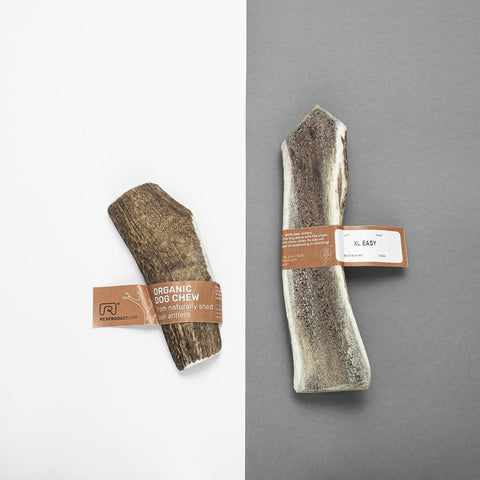 "Fit bite" – friandise naturelle et saine à mâcher