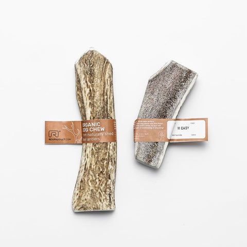 "Fit bite" – friandise naturelle et saine à mâcher