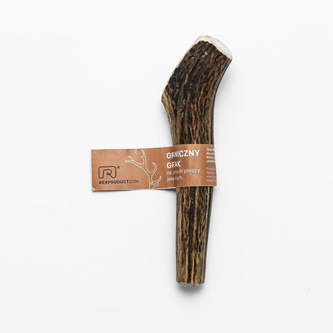 "Fit bite" – friandise naturelle et saine à mâcher