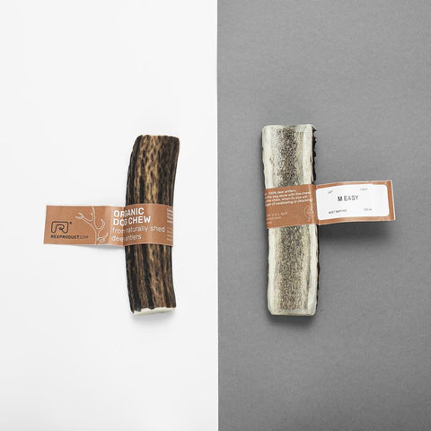 "Fit bite" – friandise naturelle et saine à mâcher