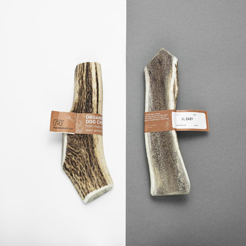 "Fit bite" – friandise naturelle et saine à mâcher
