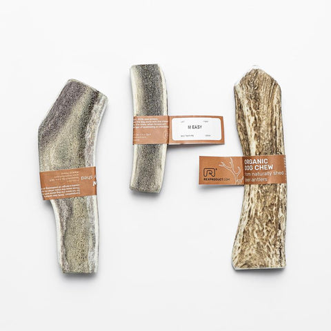 "Fit bite" – friandise naturelle et saine à mâcher