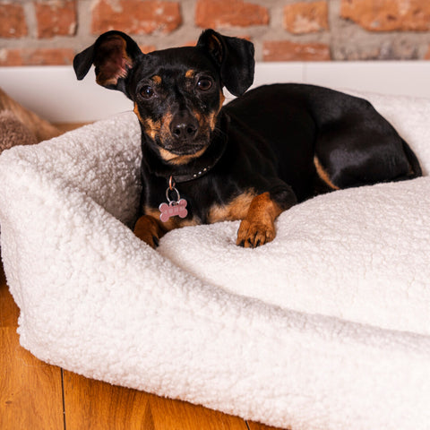 Coussin beige "Frida Teddy" avec matelas