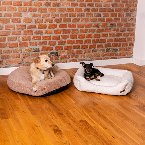 Coussin beige "Frida Teddy" avec matelas