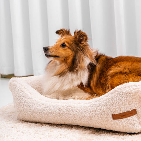 Coussin beige "Frida Teddy" avec matelas