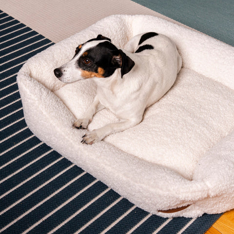 Coussin beige "Frida Teddy" avec matelas