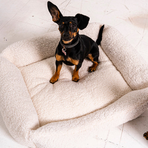 Coussin beige "Frida Teddy" avec matelas