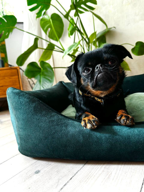"Frida" lit vert bouteille + matelas