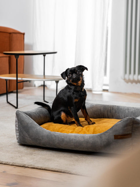 Lit "Frida" gris + matelas