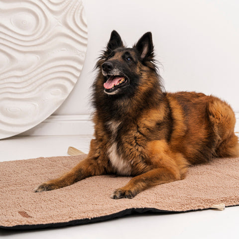 Tapis de voyage "Mia Teddy" beige