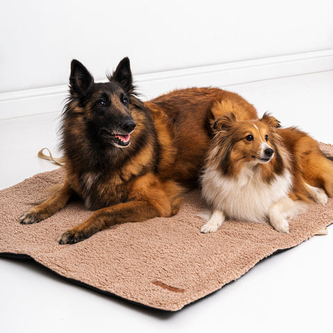 Tapis de voyage "Mia Teddy" beige