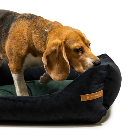 "Otto" panier noir avec matelas orthopédique "Ori"