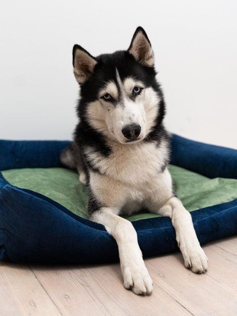 „Otto” lit orthopédique bleu marine avec matelas „Ori”