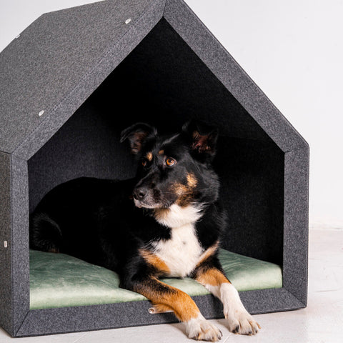 Ensemble "Pethome" niche éco + matelas coloré
