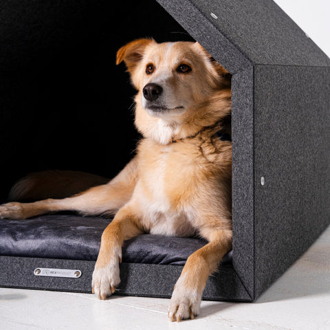 Ensemble "Pethome" niche éco + matelas coloré