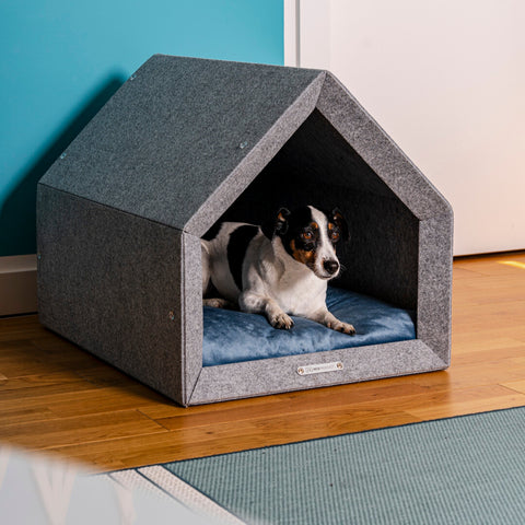 Ensemble "Pethome" niche éco + matelas coloré