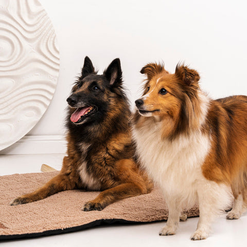 Tapis de voyage "Mia Teddy" beige
