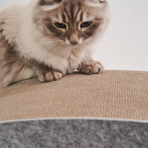 Swing Home griffoir et maison pour chat